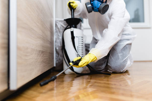 Best Best Pest Control Companies  in Ruston, LA