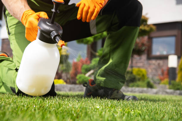 Best Insect Control  in Ruston, LA